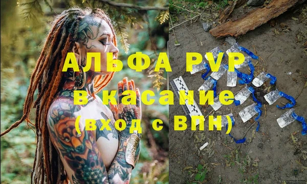 гашик Няндома