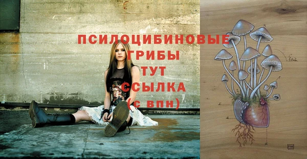 гидра Абаза