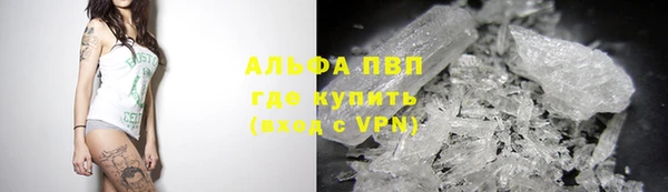 гидра Абаза