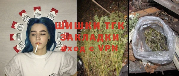 гидра Абаза