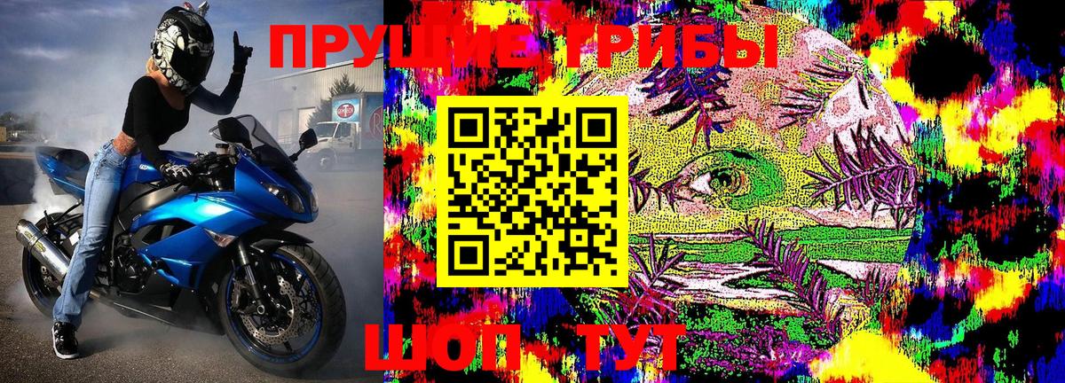 Галлюциногенные грибы Psilocybe  Псилоцибиновые грибы ЛСД  Вход с VPN  Сызрань 